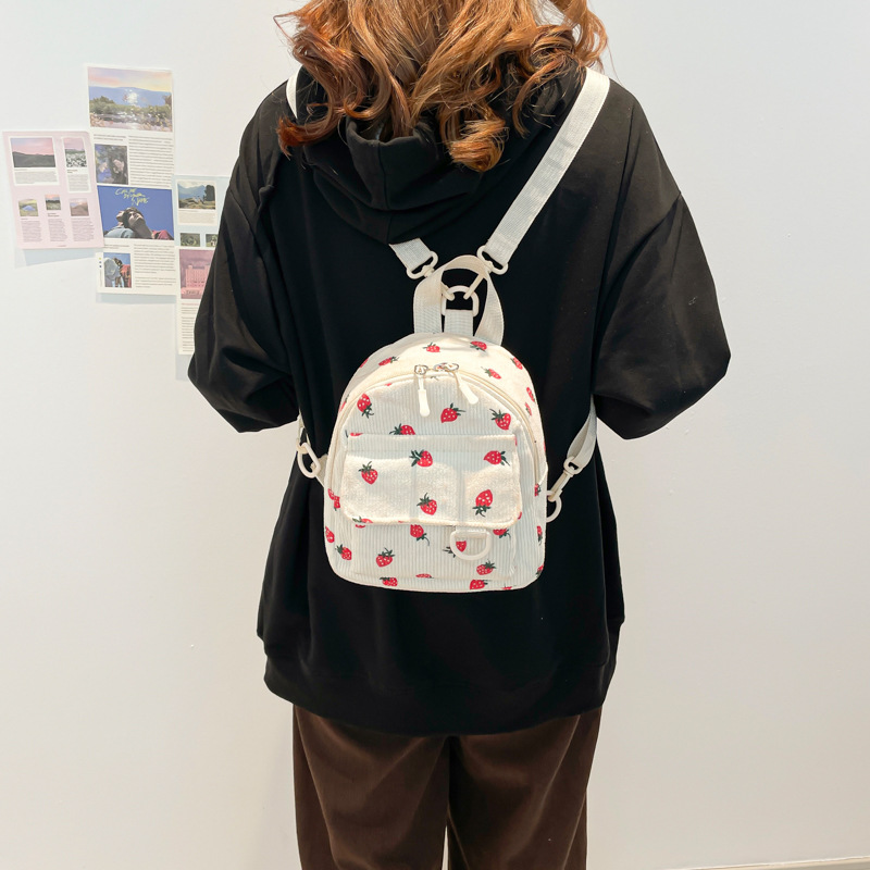 Stijlvolle kleine rugzak voor  - Fashion Backpack Women recensie en prijs